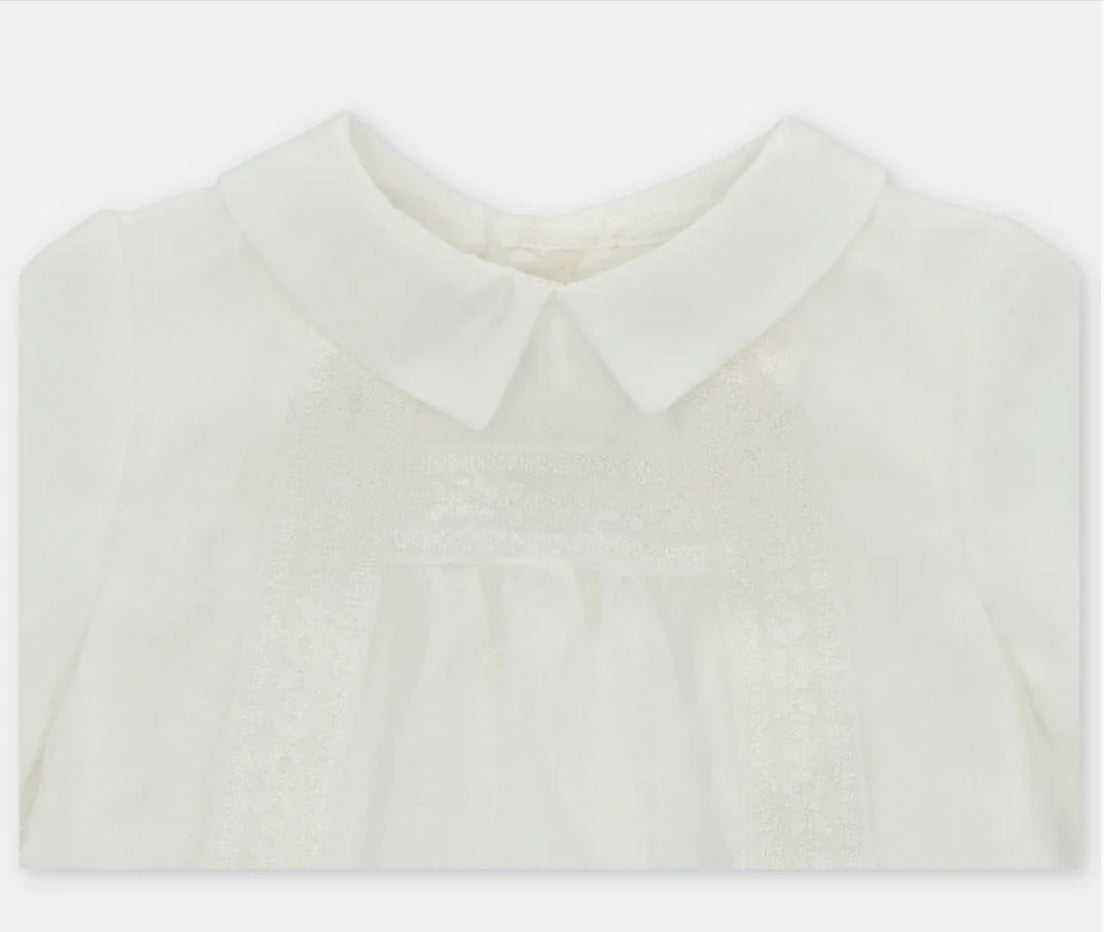 PELELE ORGANDI