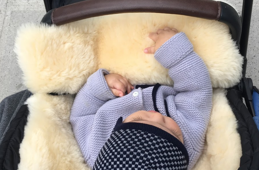 The snuggle pod -  Keep Them Snuggled Up All Year Long