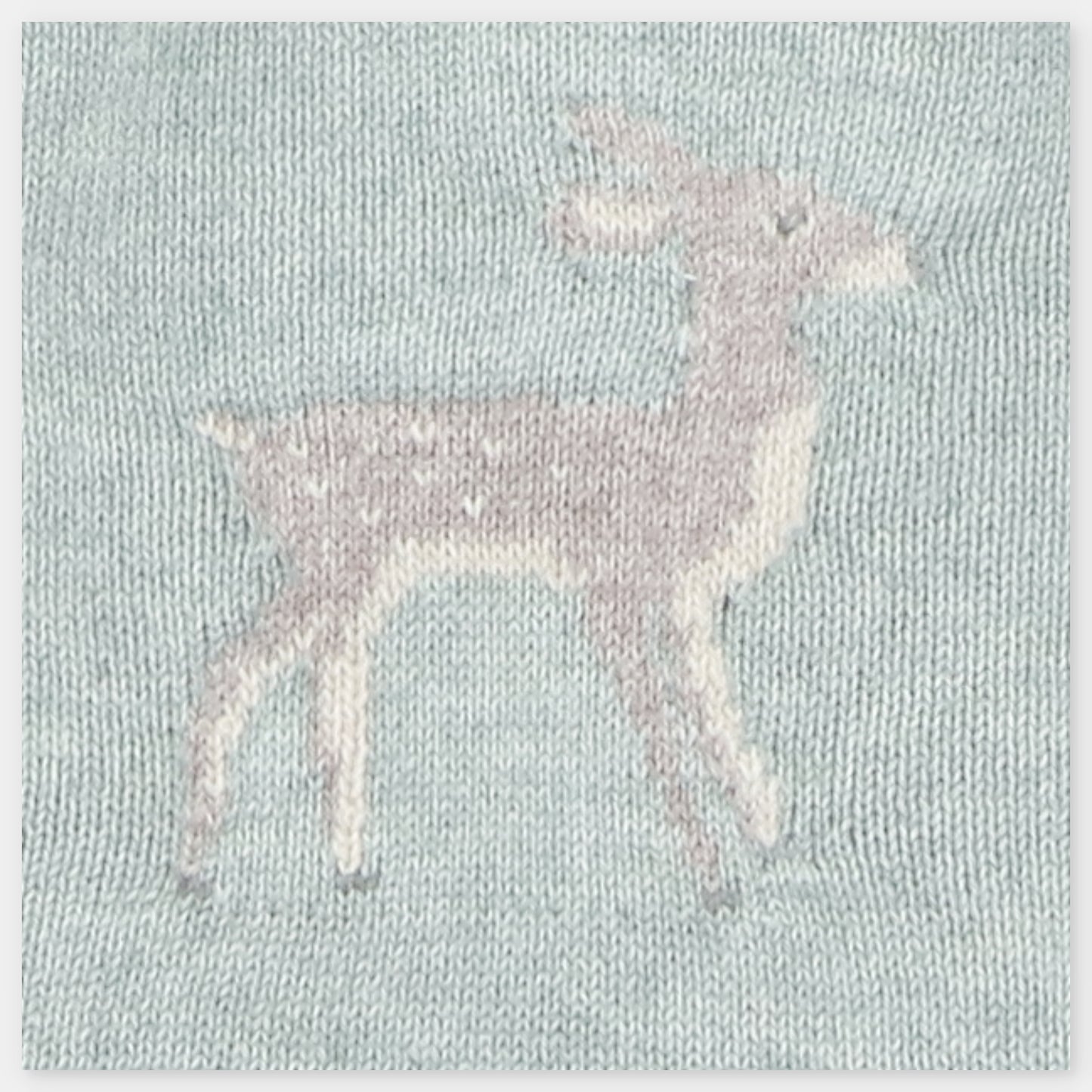 Conjunto Jaquard Niña York