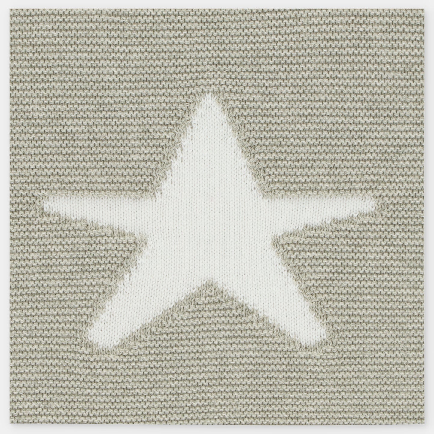 JERSEY PALMI