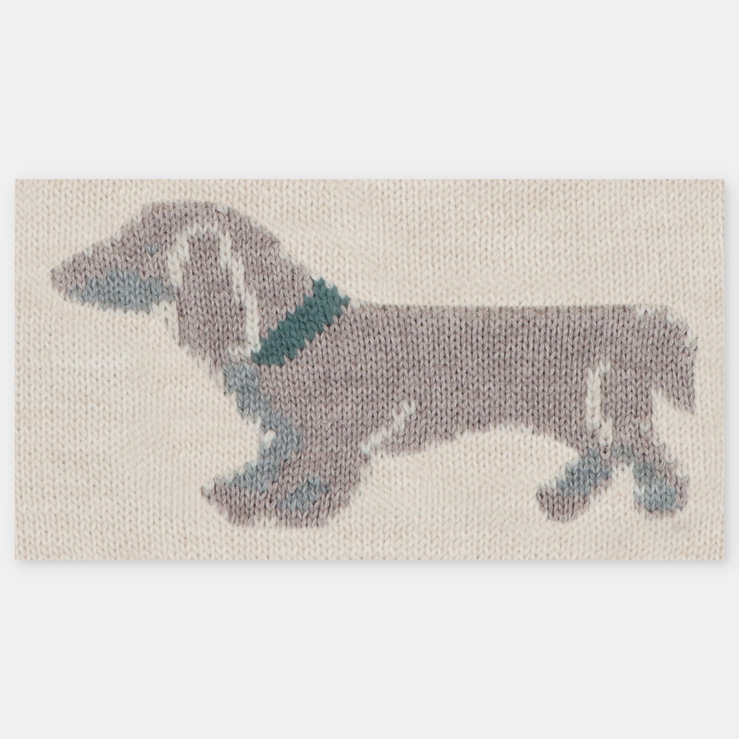 Jersey perrito Cardiff