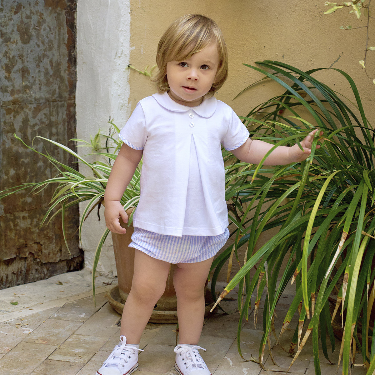 CONJUNTO DAVID