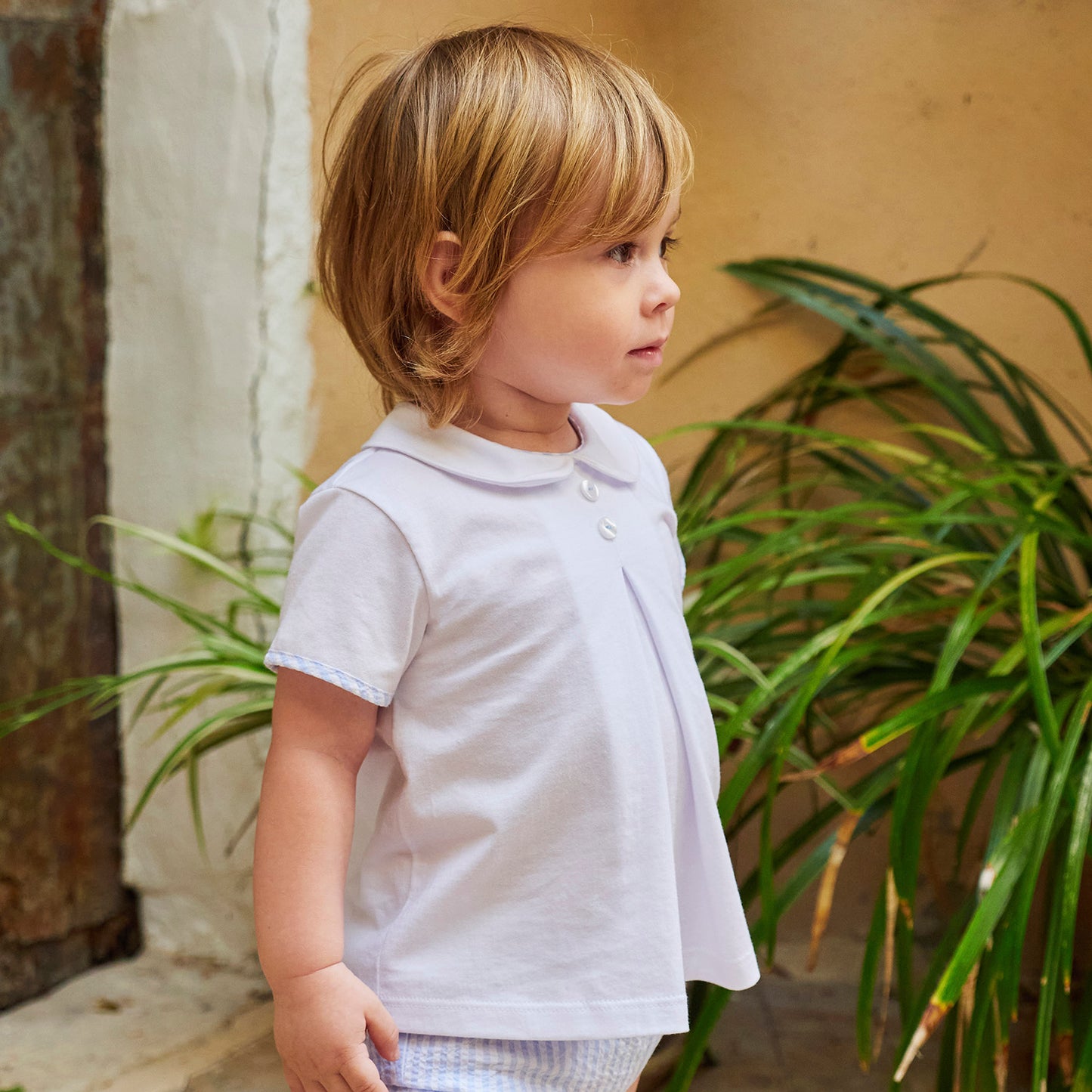 CONJUNTO DAVID