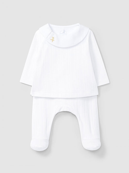 CONJUNTO  PATITO