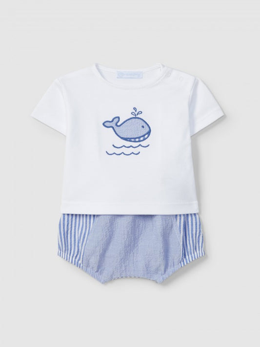 CONJUNTO NIÑO MAR